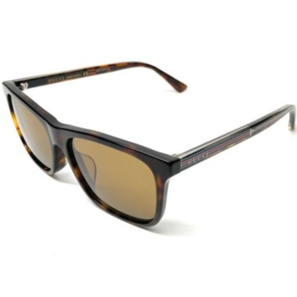 Gucci Men's Havana Sunglasses! - Picture 1 of 4